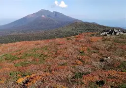 xo殑姝屽拰楣挎櫁鏋滅劧寰堟惌