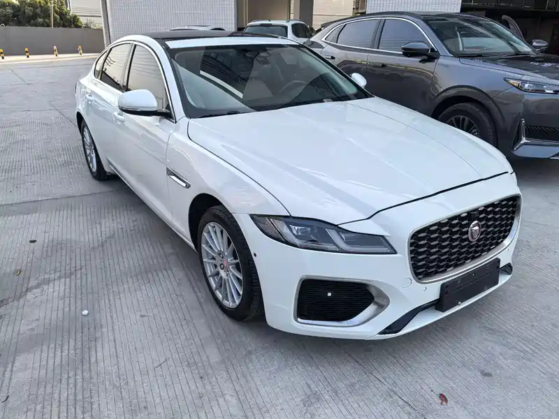 xf是什么意思-九游网站入口